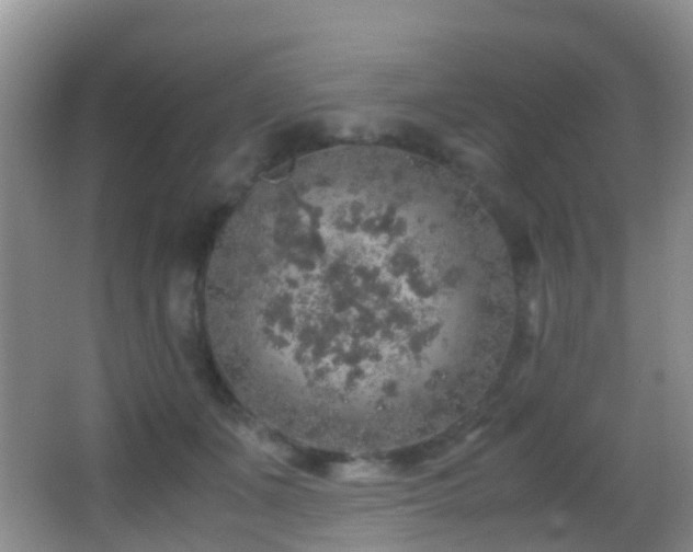 X0000062920511200601131455