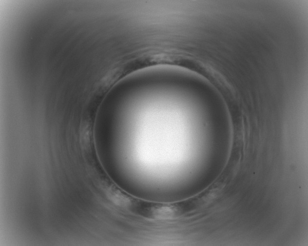 X0000062920513200601131455