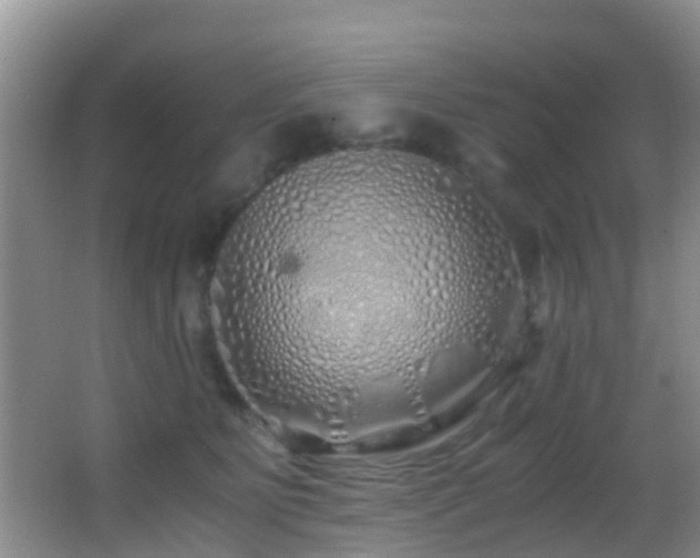 X0000062920515200601131455