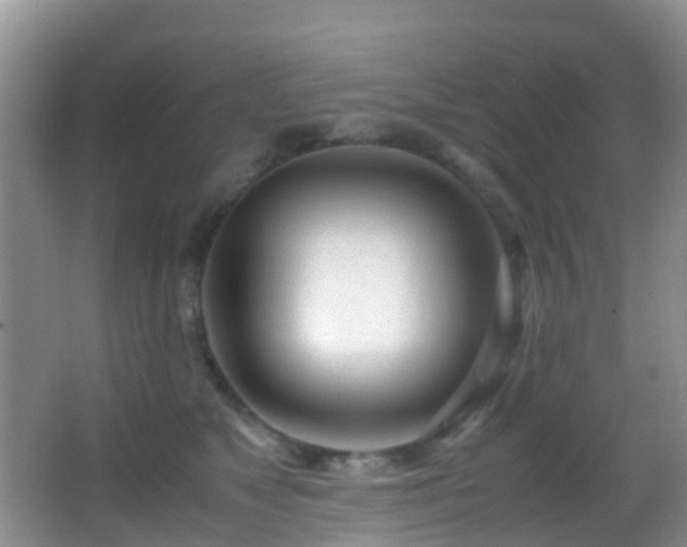X0000062920517200601131455