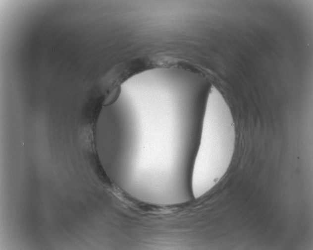 X0000062920523200601131455
