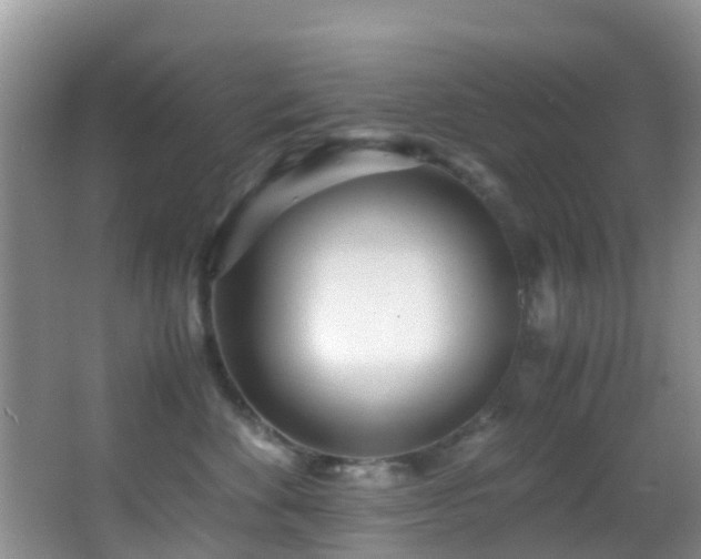 X0000062920524200601131455