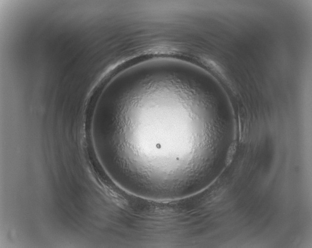X0000062920531200601131454