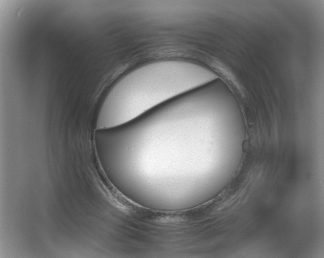 X0000062920537200601131454