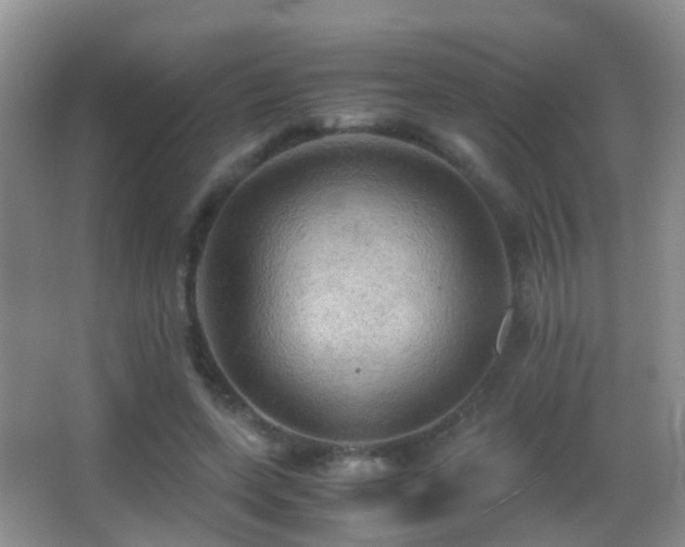 X0000062920543200601131454
