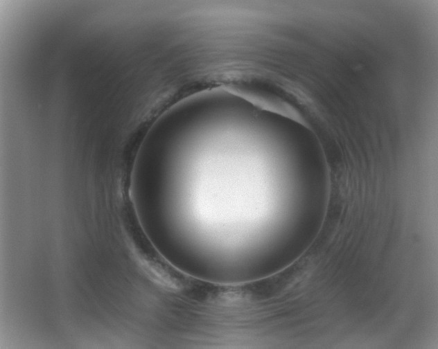 X0000062920546200601131455