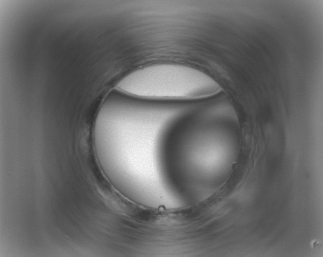 X0000062920550200601131455