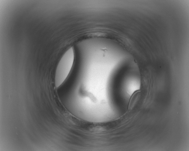 X0000062920551200601131455