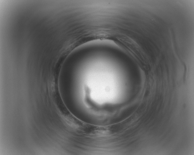 X0000062920552200601131455