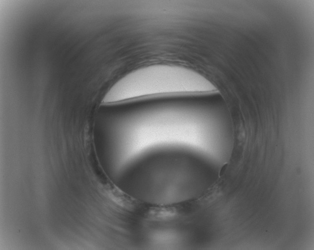 X0000062920559200601131455