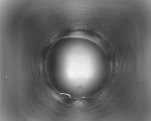X0000062920566200601131455