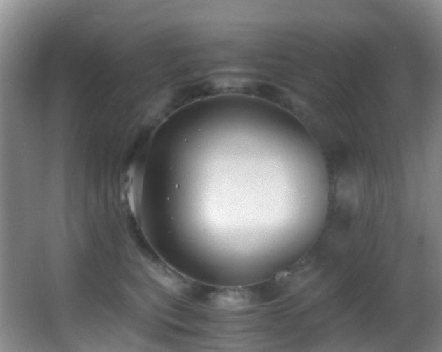 X0000062920567200601131455