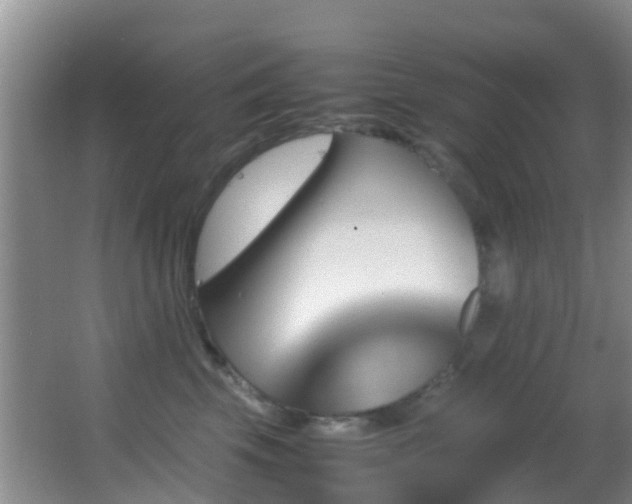 X0000062920569200601131455