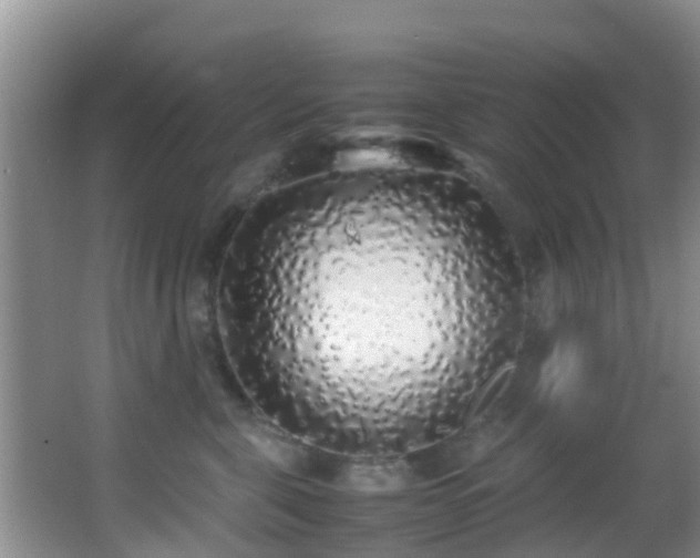 X0000062920571200601131455