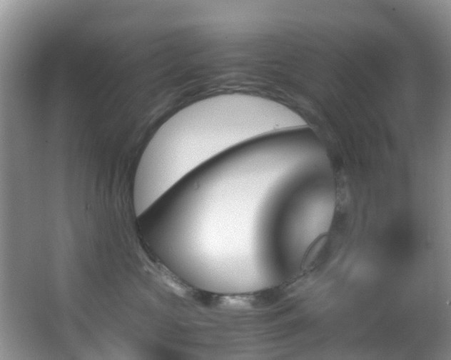 X0000062920573200601131455