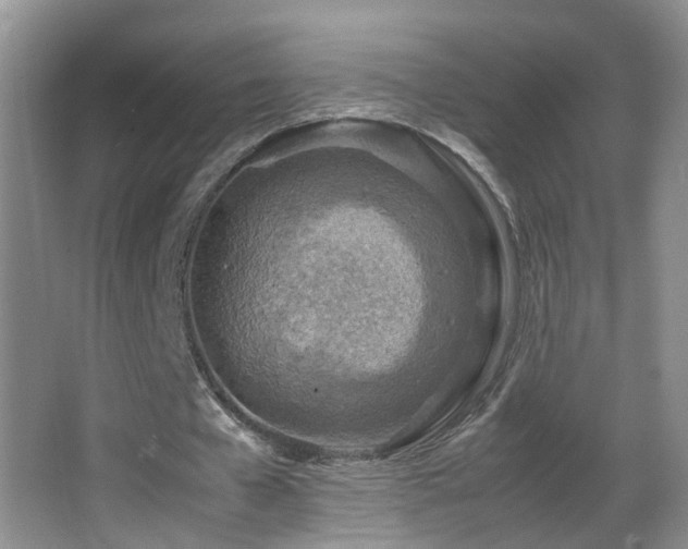 X0000062920577200601131454