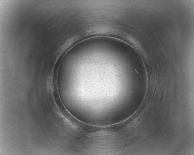X0000062920578200601131454