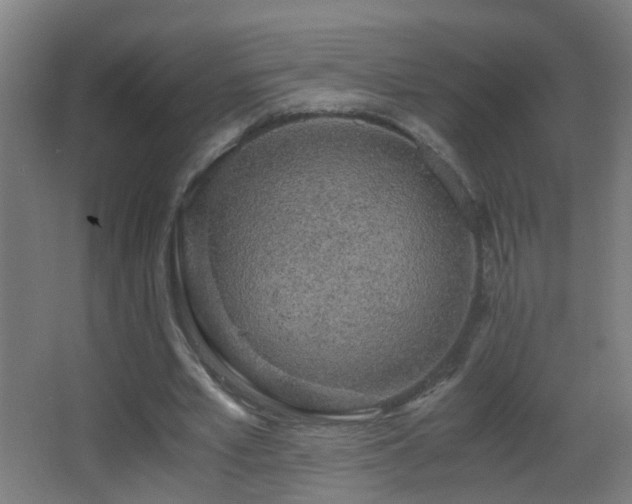 X0000062920581200601131454