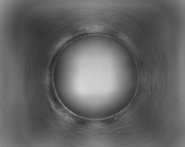 X0000062920583200601131454