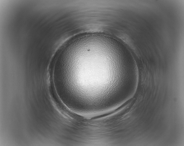 X0000062920584200601131454