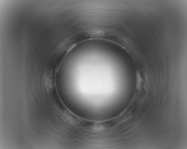 X0000062920604200601131454