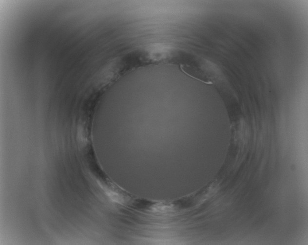 X0000062920606200601131454
