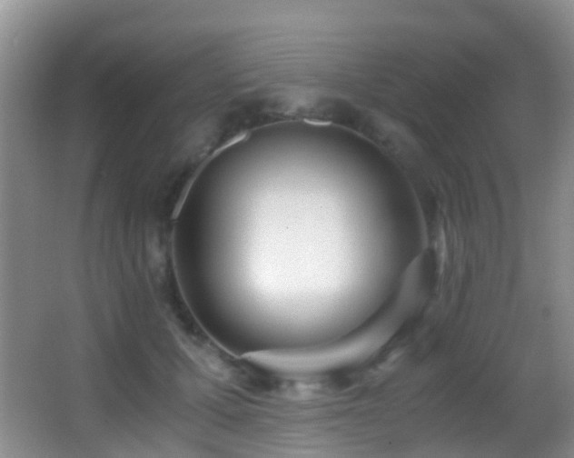 X0000062920607200601131454
