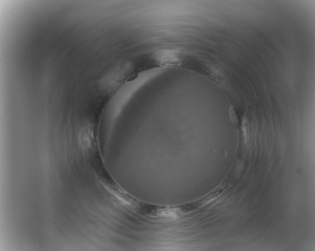 X0000062920618200601131454