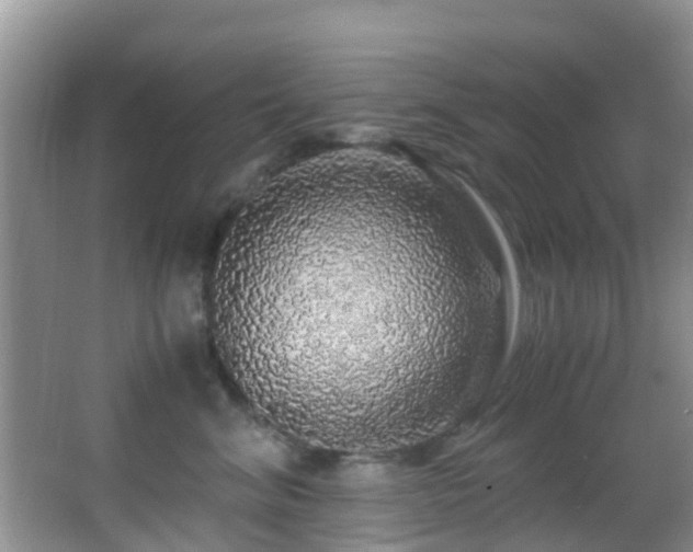 X0000062920620200601131453