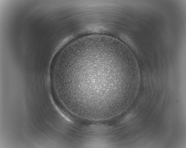 X0000062920630200601131453