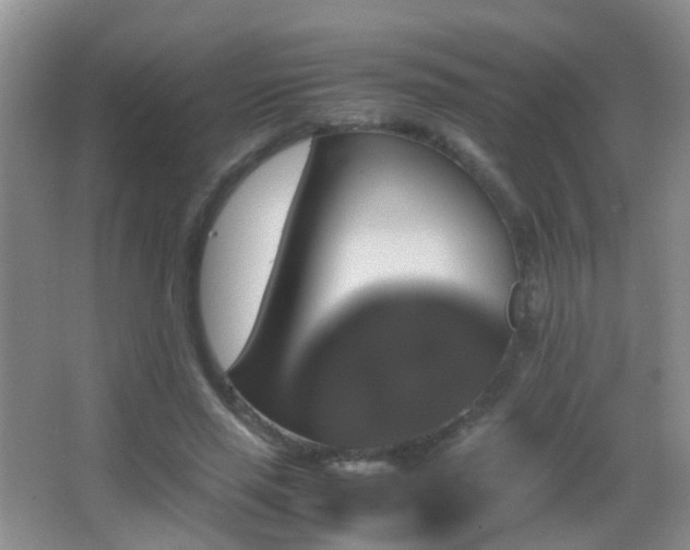 X0000062920637200601131453