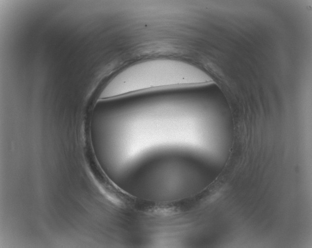 X0000062920638200601131453