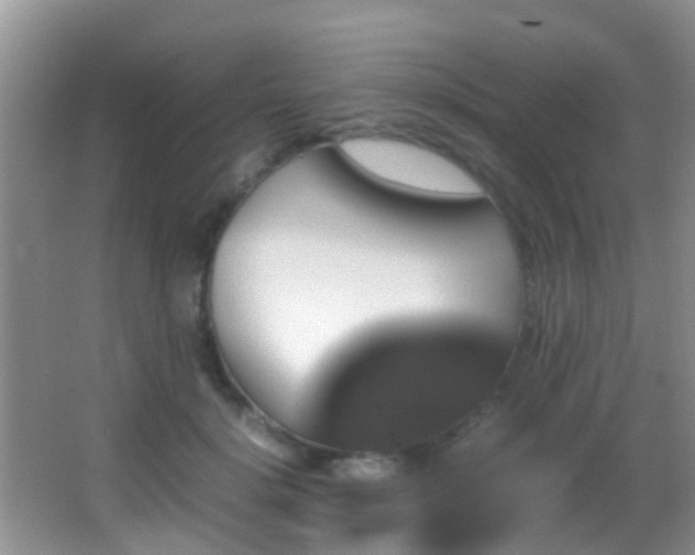 X0000062920652200601131453