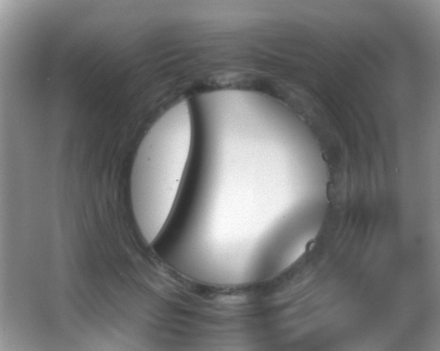X0000062920653200601131453