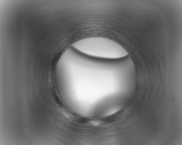 X0000062920654200601131453