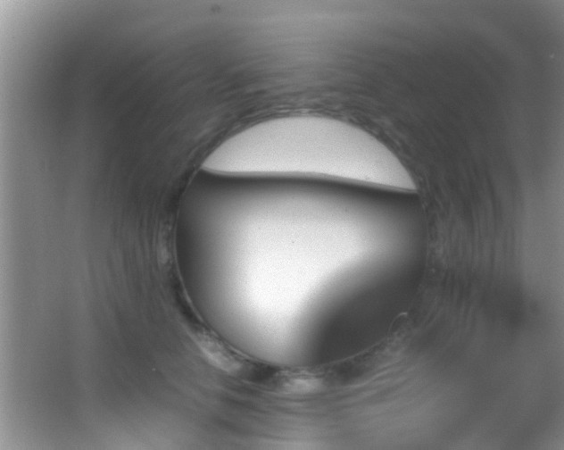 X0000062920658200601131453