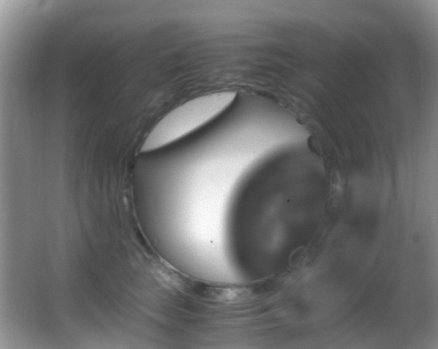 X0000062920663200601131453