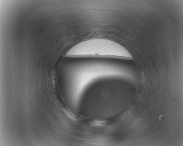 X0000062920664200601131453