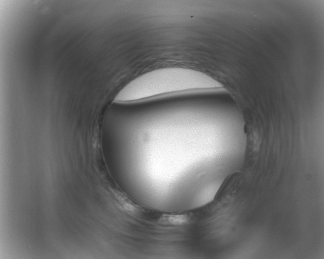 X0000062920665200601131453
