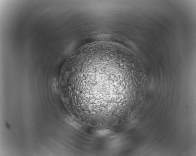 X0000062920669200601131453