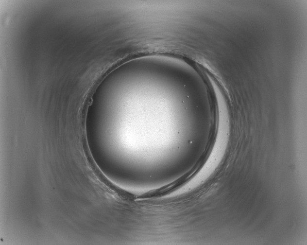 X0000062920673200601131453