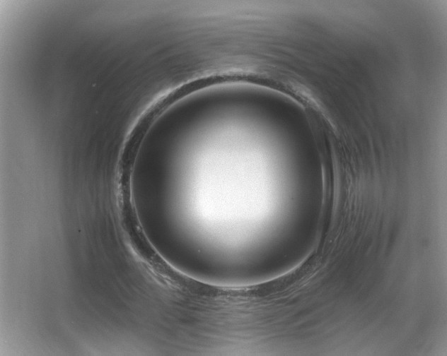 X0000062920676200601131453