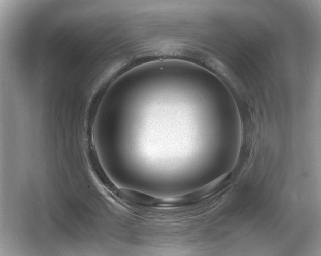 X0000062920677200601131453