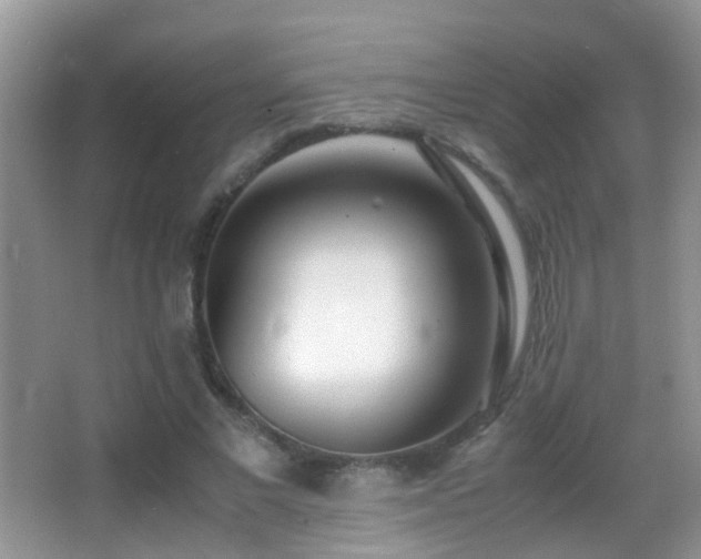 X0000062920685200601131452