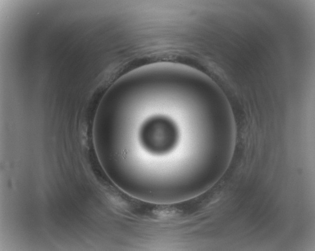 X0000062920693200601131452