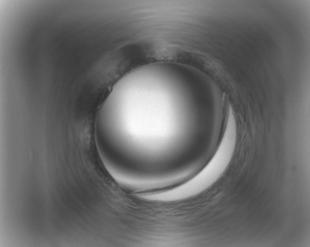 X0000062920697200601131452