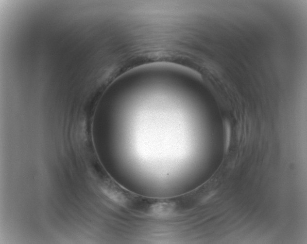 X0000062920700200601131452