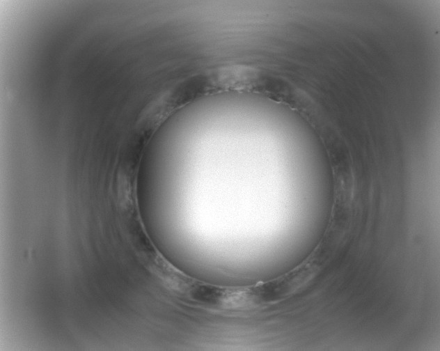 X0000062920705200601131452