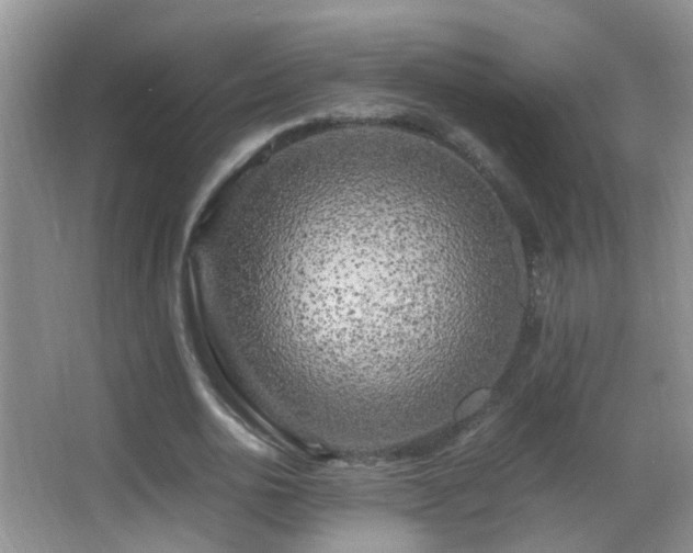 X0000062920726200601131451