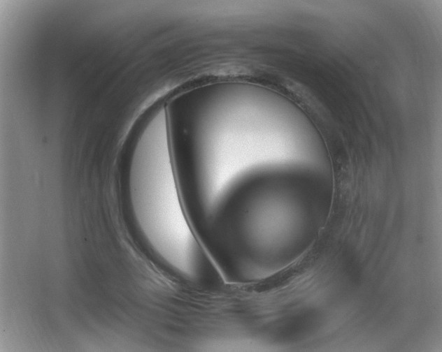 X0000062920727200601131451